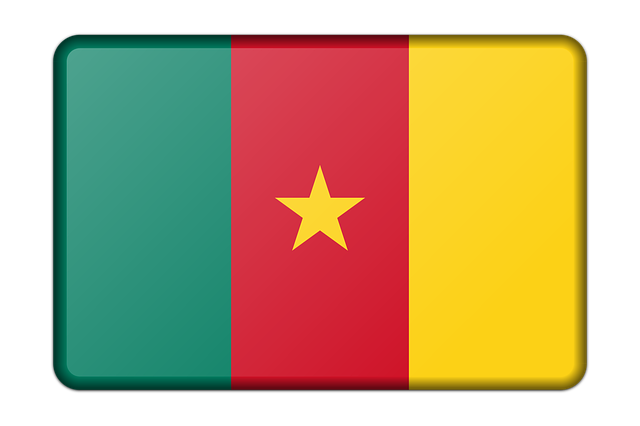 Ambassade de France au Cameroun
