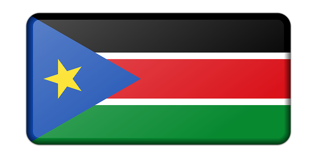 Ambassade de France au Soudan du Sud