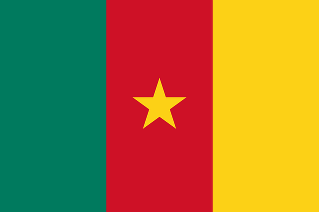 Ambassade du Cameroun à Paris