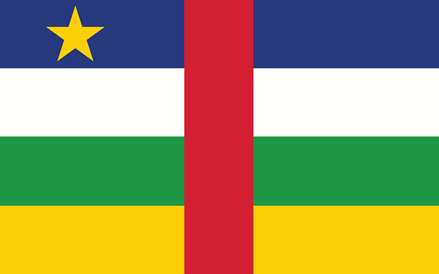 Ambassade de France en République centrafricaine