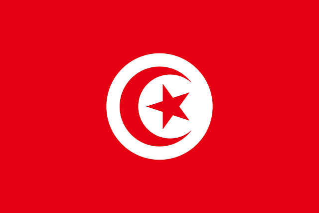 Ambassade de Tunisie à Paris